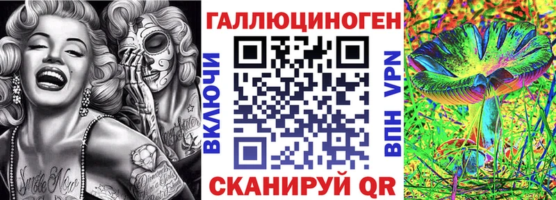 где найти   omg сайт  Псилоцибиновые грибы мицелий  Новоалтайск 