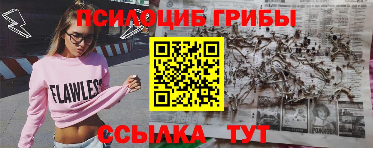Псилоцибиновые грибы мицелий  Вход с VPN  Новоалтайск 